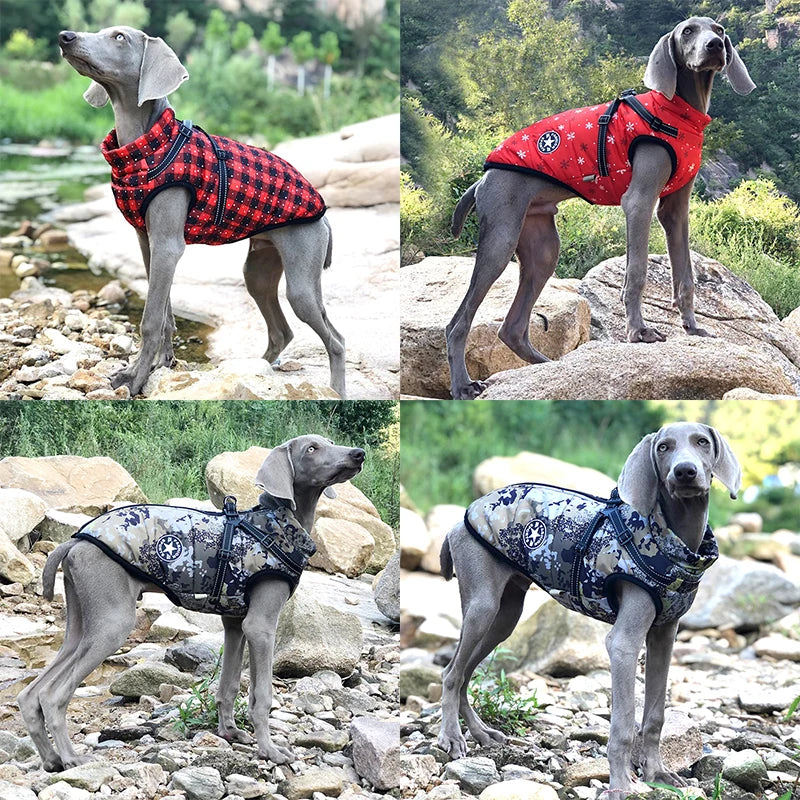 Pet Dog Jacket With Harness Winter Warm Dog Clothes With Waterproof Resisting Material